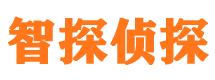 独山子市侦探